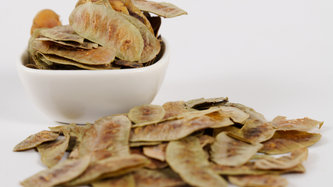 Açlık Otu Nedir? Açlık Otu Faydaları Nelerdir?