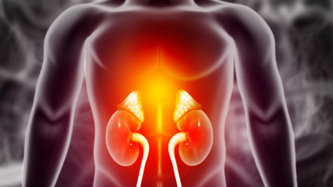 Addison Hastalığı: Nedir, Belirtileri, Neden Olur ve Nasıl Geçer?