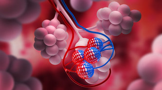Akciğer Zarı Kanseri (Mezotelyoma) Nedir? Belirtileri ve Tedavisi