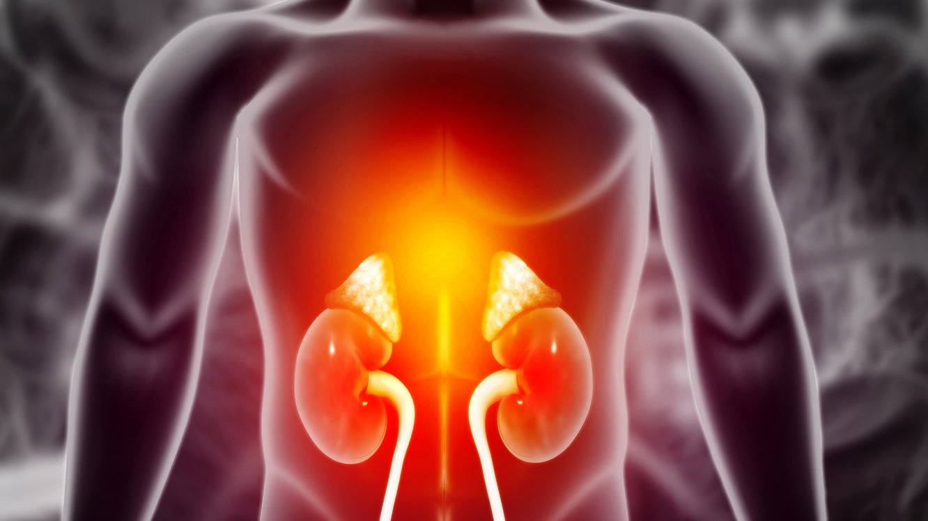 Böbrekte Kum Neden Olur? Kum Dökme Belirtileri Nelerdir?