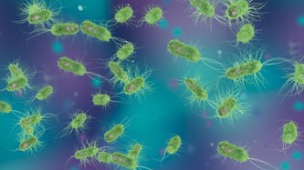 Helikobakter Pilori Nedir? Belirtileri ve Tedavisi