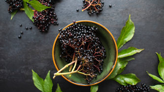 Kara Mürver Nedir? Kara Mürver Faydaları Nelerdir?