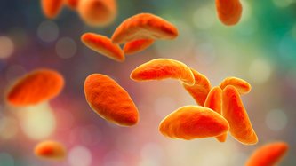 Toksoplazma Nedir? Toksoplazma Belirtileri Nelerdir?